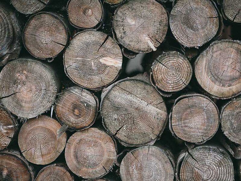 Stop Cutting Down Trees