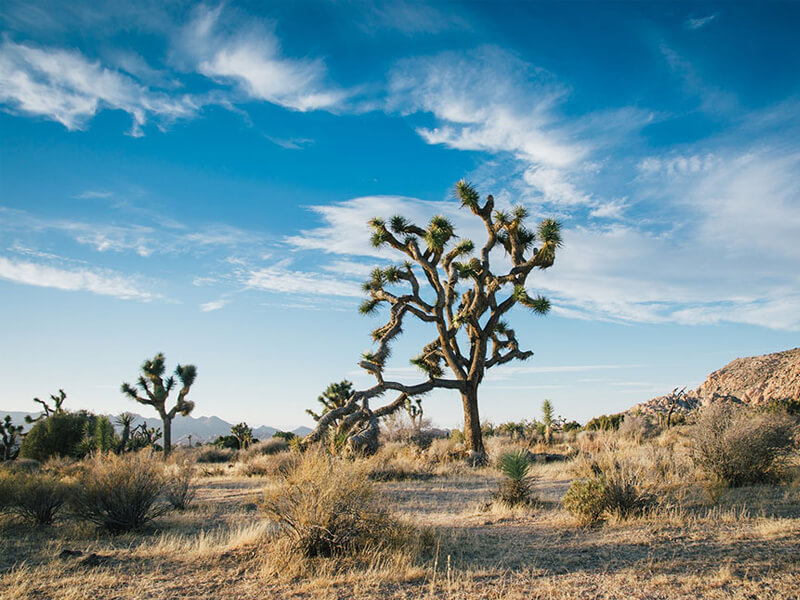 Preventing air pollution